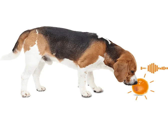 AFP Calming Pals-Anti Anxiety Speaking ball