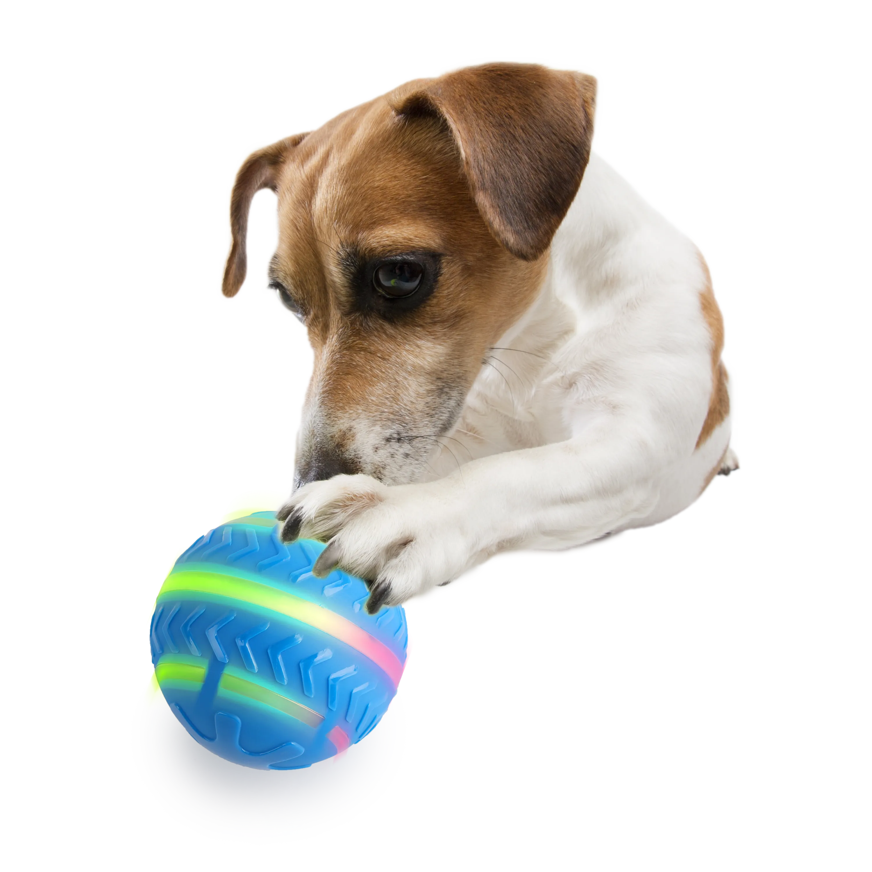 AFP Motion Activated Action Ball Dog Toy