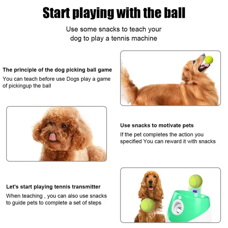 Automatic Dog Ball Launcher