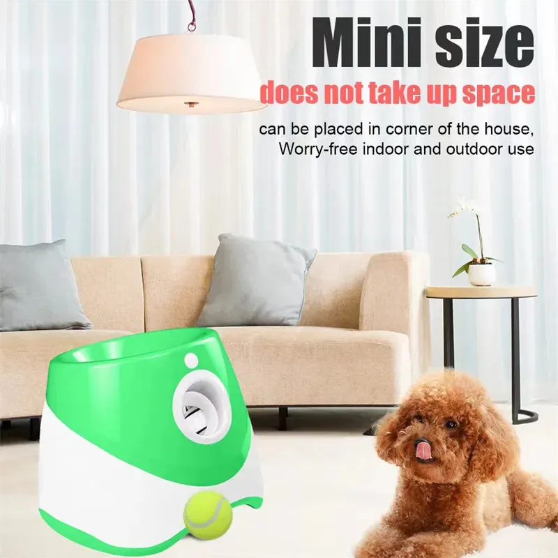 Automatic Dog Ball Launcher