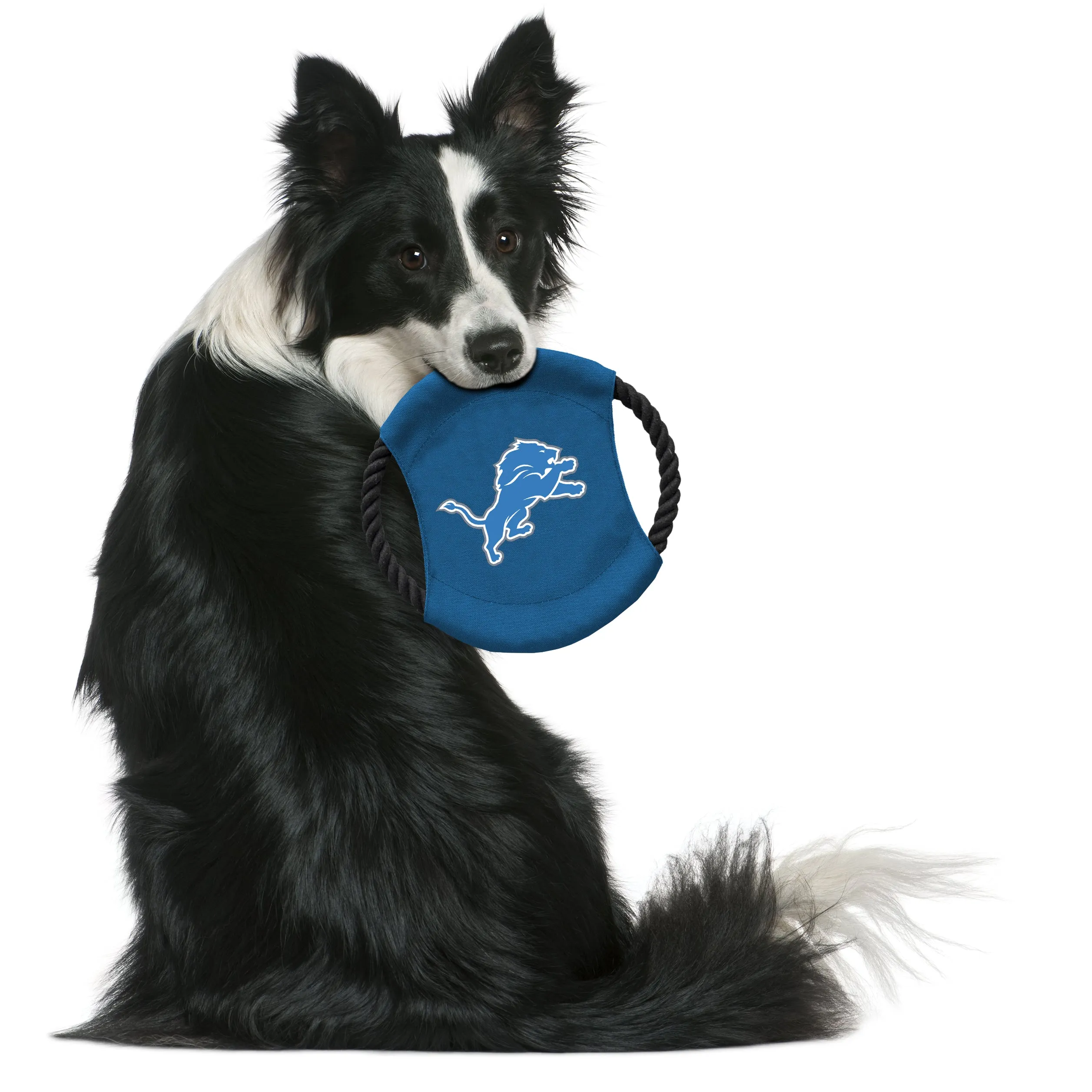 Detroit Lions Team Flying Disc Pet Toy