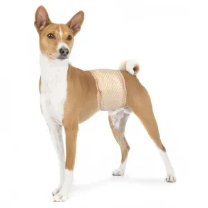 Disposable Male Dog Diapers, 12 Pcs/ Pack