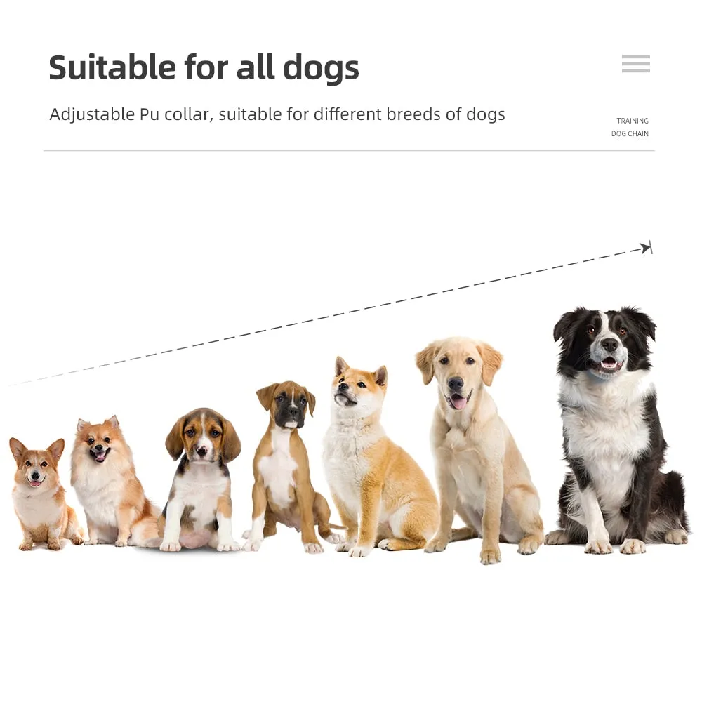 Dog Training Collar Dog Training Device IP7 Waterproof Pet Remote