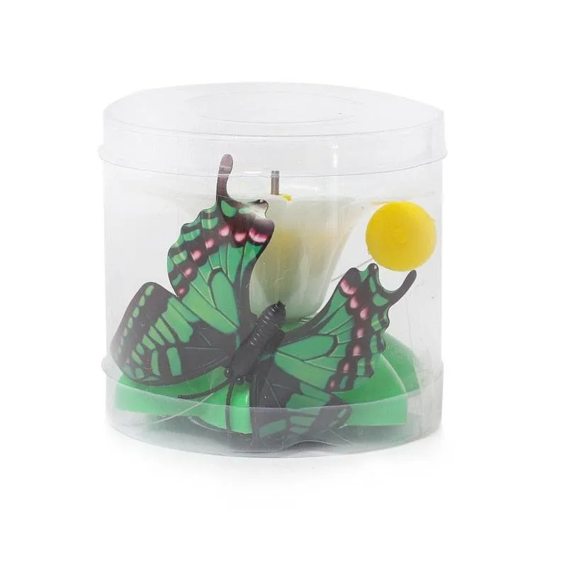 Electric Interactive Flying Insect Toy for Cats - Engaging Fun with Realistic Movements