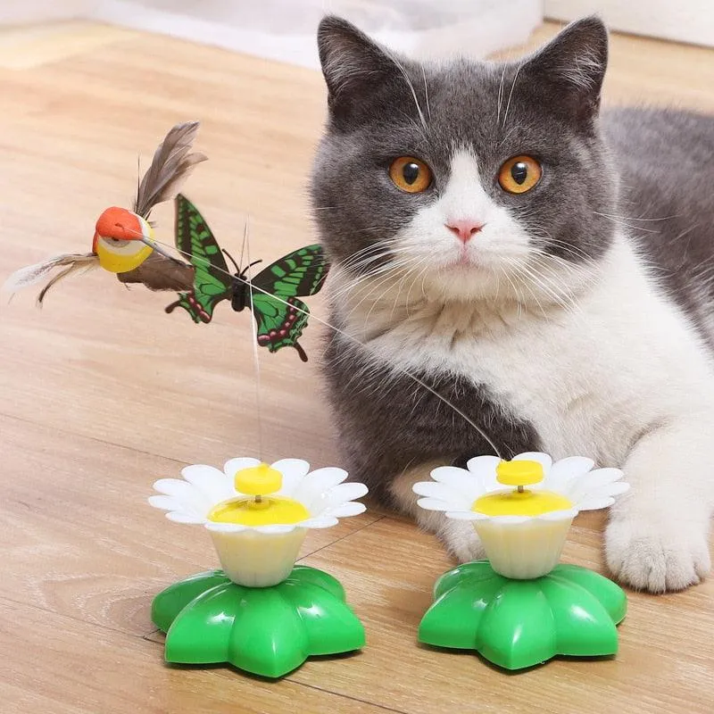 Electric Interactive Flying Insect Toy for Cats - Engaging Fun with Realistic Movements