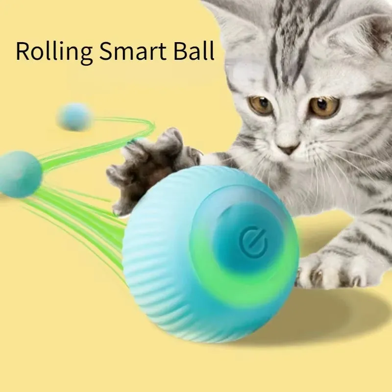 Electric Interactive Pet Ball