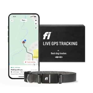 Fi Series 3 Smart Dog Collar - GPS Dog Tracker and Activity & Fitness Monitor, Waterproof, LED Light, Escape Alerts, Nationwide Coverage [Free 1 Year Membership] (Gray, Large)