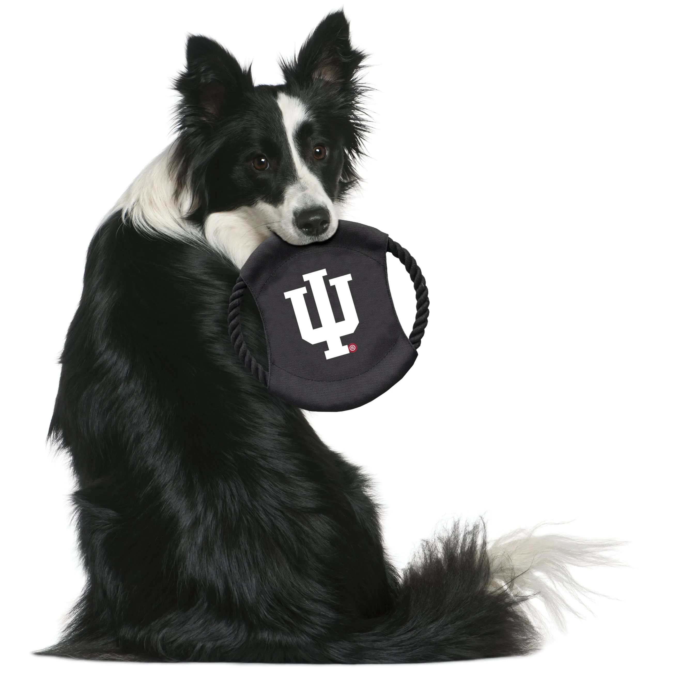 Indiana University Team Flying Disc Pet Toy