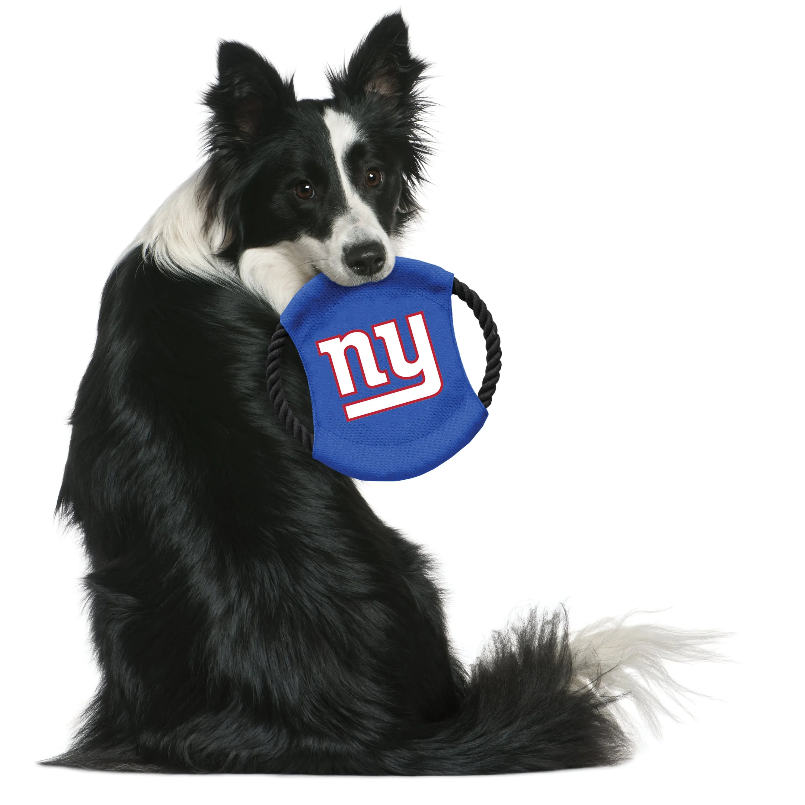 New York Giants Team Flying Disc Pet Toy