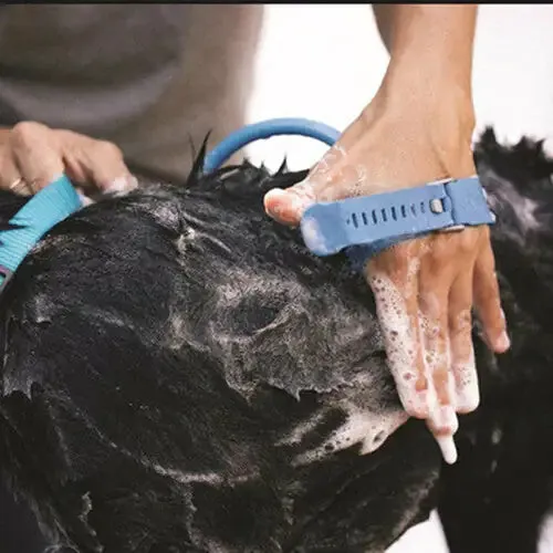 Pet Bathing Tool:Make pet grooming a breeze with our innovative Pet Bathing Tool, designed for efficiency and comfort. Simplify the bathing process while ensuring your pet stays clean and happy.