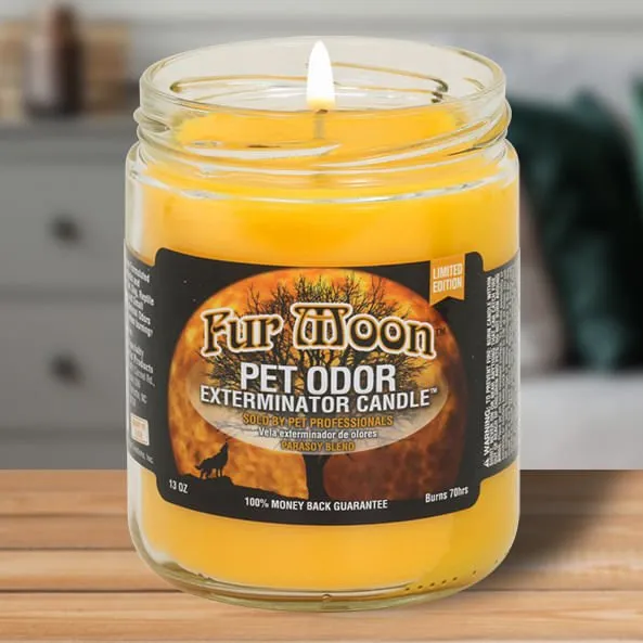 Pet Odor Exterminator Candle, FurMoon, 13 oz