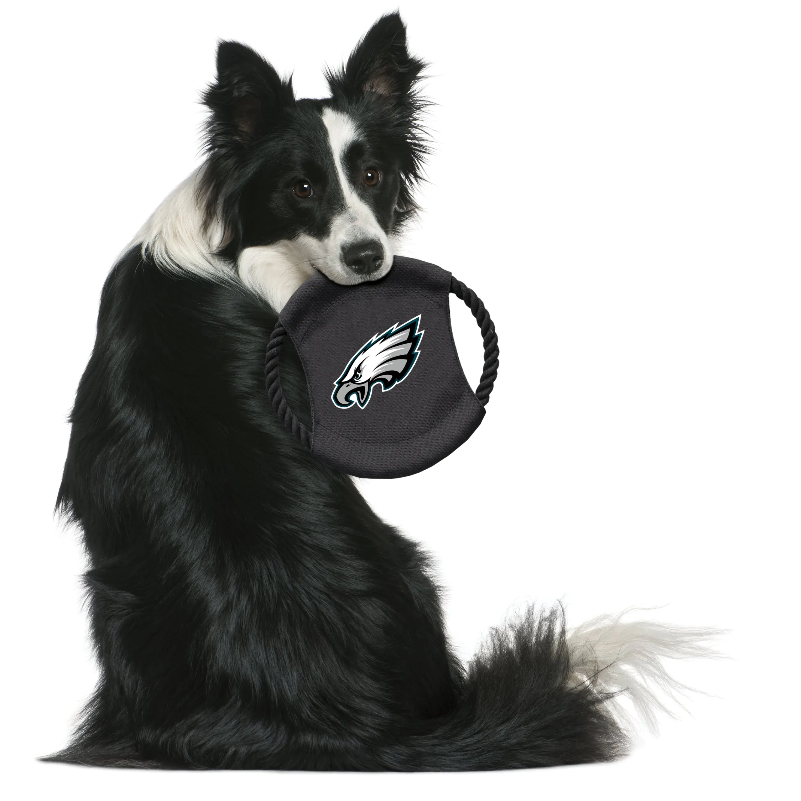 Philadelphia Eagles Team Flying Disc Pet Toy