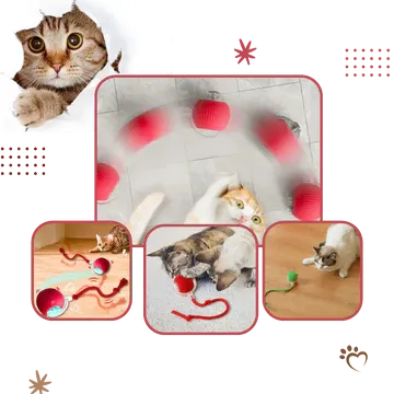 Smart Interactive Cats Ball Toy