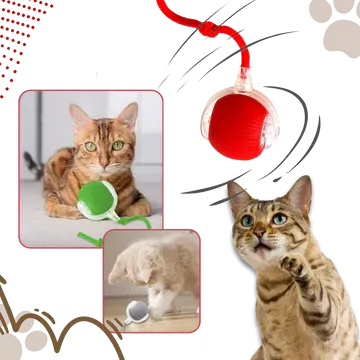 Smart Interactive Cats Ball Toy