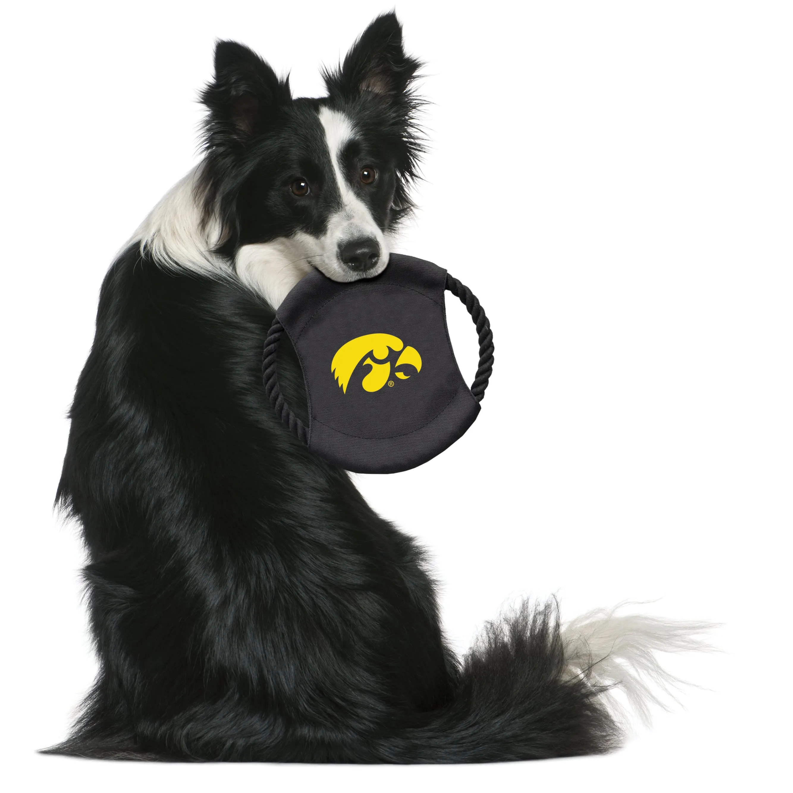 University of Iowa Team Flying Disc Pet Toy