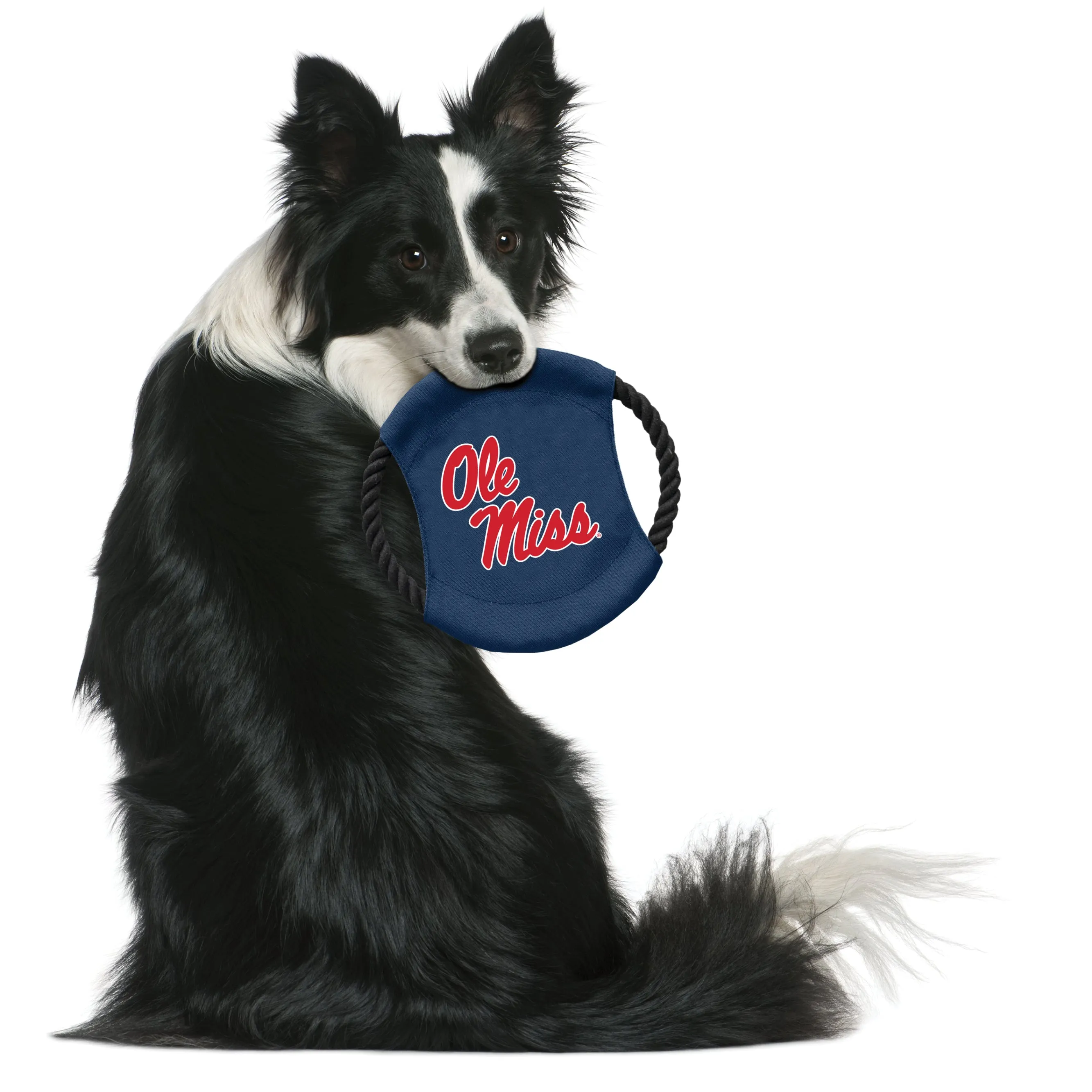 University of Mississippi Team Flying Disc Pet Toy