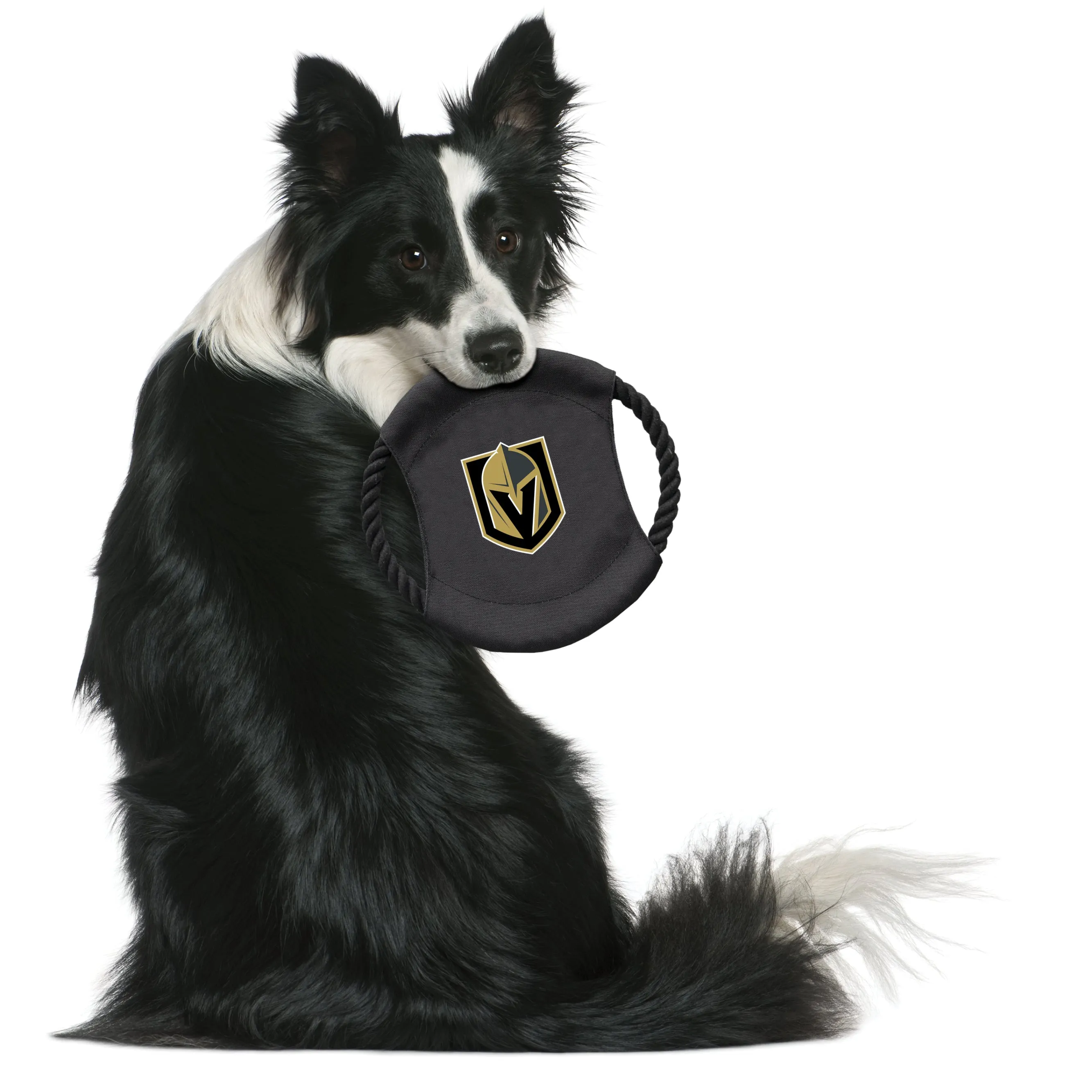 Vegas Golden Knights Team Flying Disc Pet Toy
