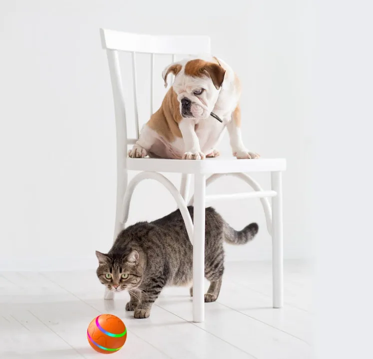 Wicked Intelligent Ball Toy